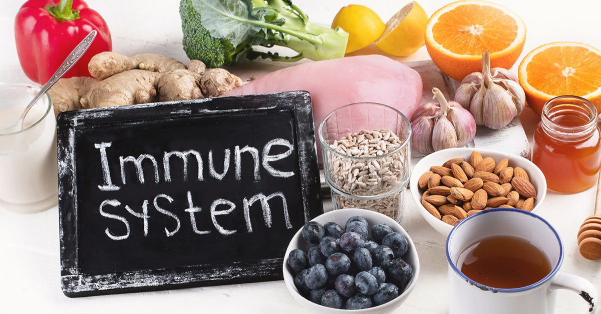 Immunity: What It Is, How It Works, and Why We Need It. – Nuu3